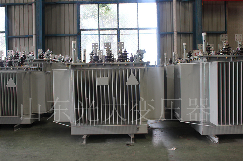 隆昌S20-500KVA/10KV